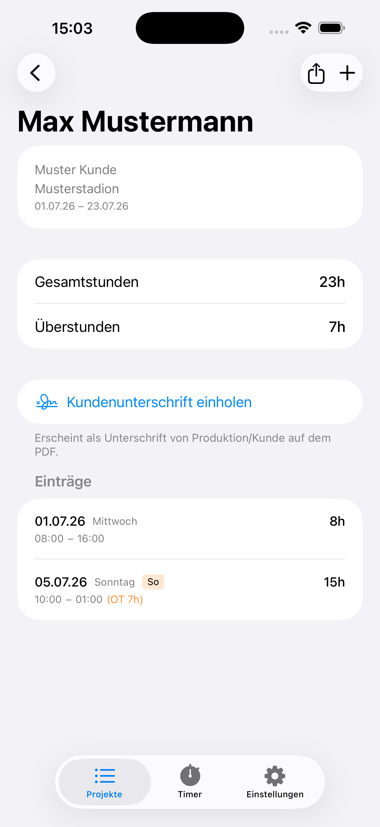 Orduri: Projektansicht mit Gesamtstunden, Überstunden und Einträgen